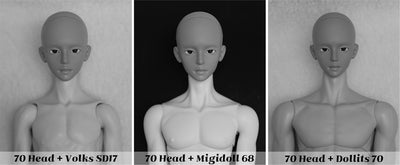 Johannes Head [Limited Time] | Preorder | PARTS