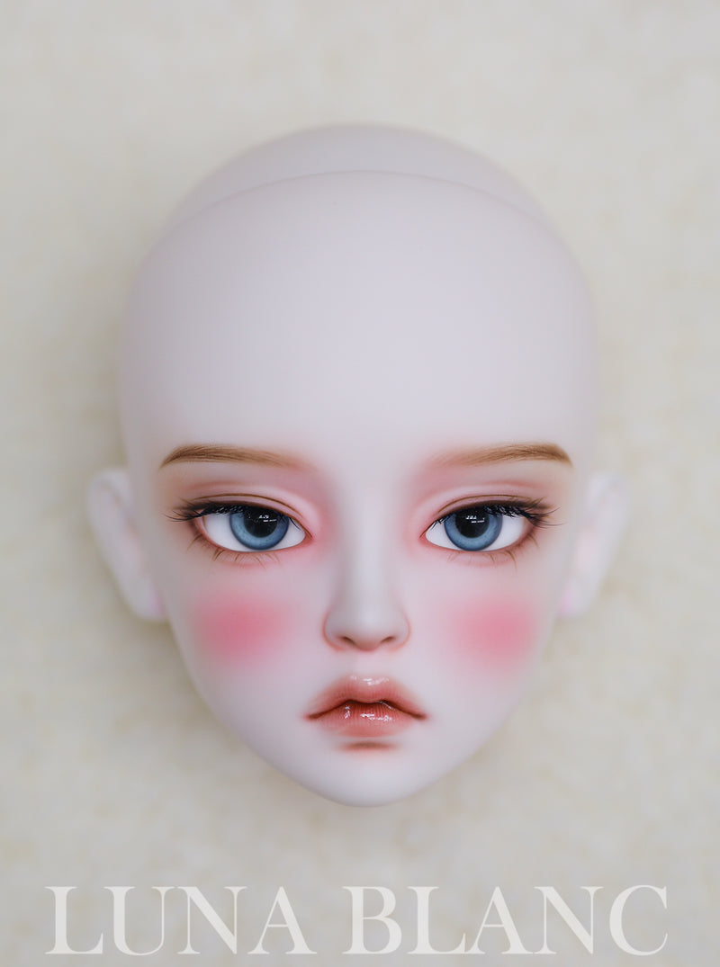 Canna Head [Limited Time] | Preorder | PARTS