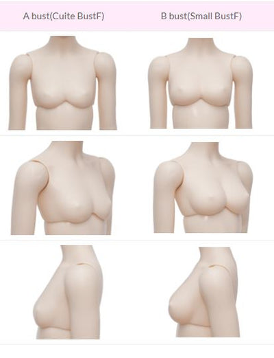 FairyLine Girl Body [Limited Time] | Preorder | PARTS