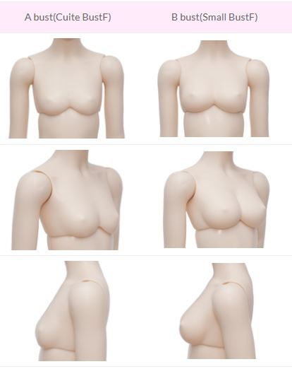 FairyLine Girl Body [Limited Time] | Preorder | PARTS