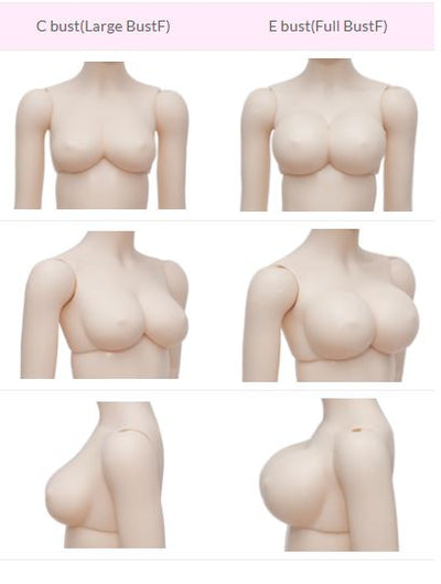 FairyLine Girl Body [Limited Time] | Preorder | PARTS