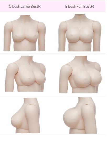 FairyLine Girl Body [Limited Time] | Preorder | PARTS