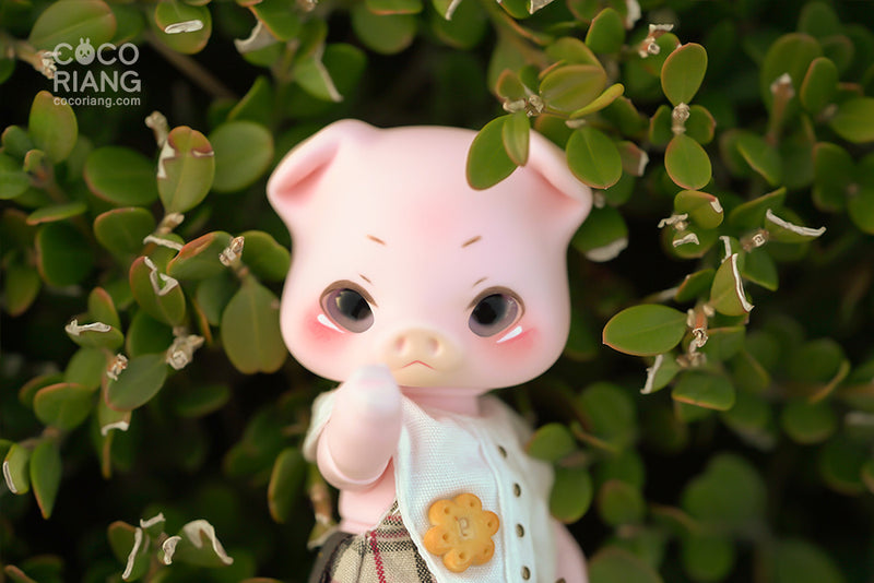 Bebe Pink Andre [Limited Time] | Preorder | DOLL