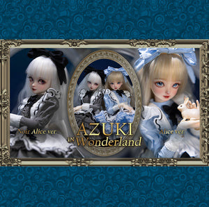 ｄｏｌｋ ４０／４５ｂｏｄｙ BJD Doll Online Shop – Dolk BJD
