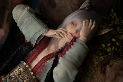 FeePle60 Alan Full Package (Canis Lupus) | Preorder | DOLL