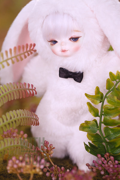 [BWD] White Rabbit (Wonderland Series) [limited time] | Preorder | DOLL