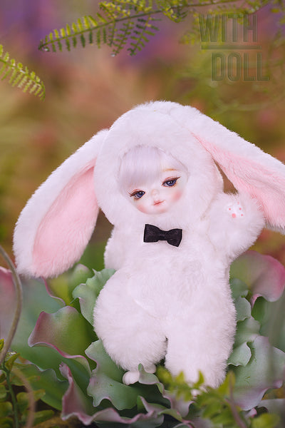 [BWD] White Rabbit (Wonderland Series) [limited time] | Preorder | DOLL