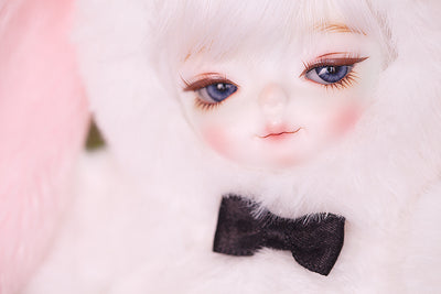 [BWD] White Rabbit (Wonderland Series) [limited time] | Preorder | DOLL