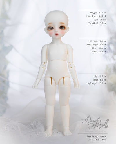 Belle 20 Body [Limited Time] | Preorder | PARTS