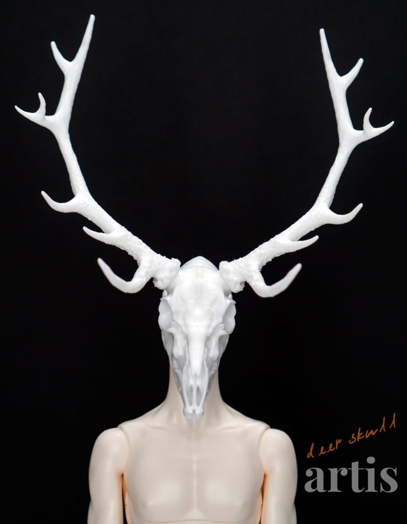 ARTIS Head [Limited Time & Quantity 30%OFF] | Preorder | PARTS