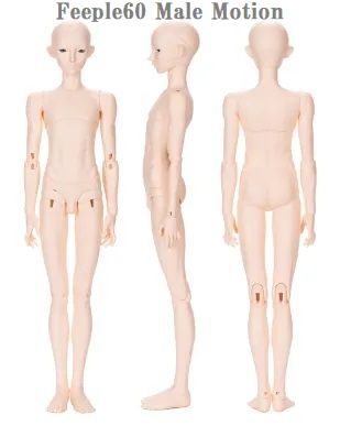 FeePle60 Alan Full Package (Canis Lupus) | Preorder | DOLL