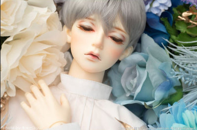 DAYDREAM NEW EVAN [Limited Quantity] | Preorder | DOLL