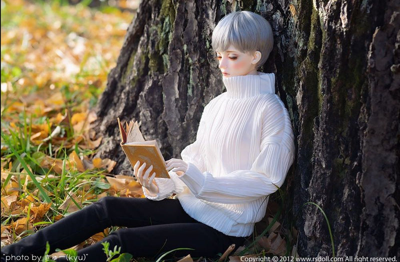 DAYDREAM NEW EVAN [Limited Quantity] | Preorder | DOLL