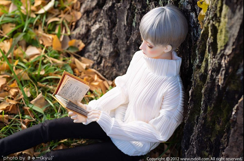 DAYDREAM NEW EVAN [Limited Quantity] | Preorder | DOLL