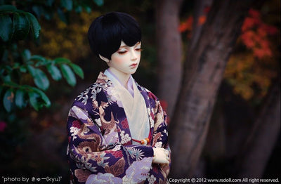 DAYDREAM NEW EVAN [Limited Quantity] | Preorder | DOLL