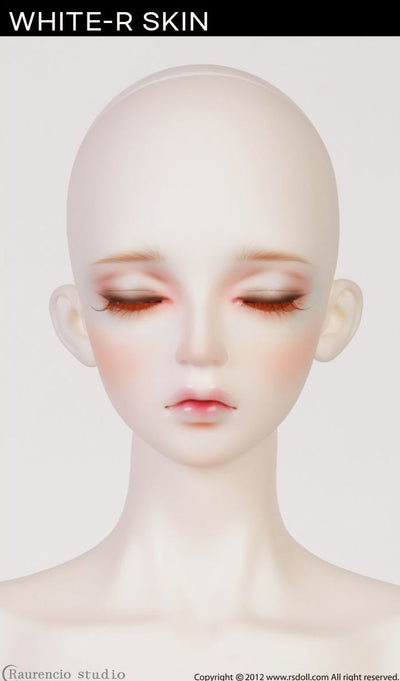 DAYDREAM NEW EVAN [Limited Quantity] | Preorder | DOLL