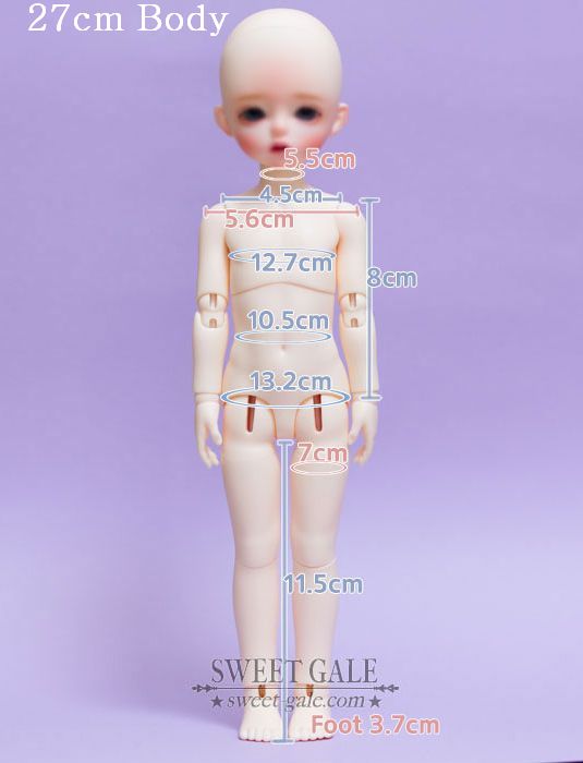 Robin [Limited Time] | Preorder | DOLL