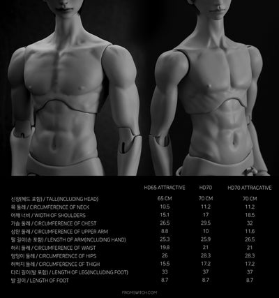 [HD70/HD70 Attractive boy body]Mercury Gray Skin [Limited time] | Preorder | PARTS