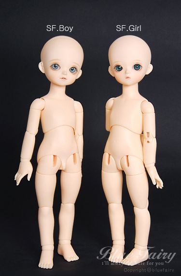 SF Jr.May Head [Limited Time] | Preorder | DOLL