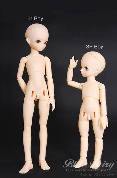 SF Jr.May Head [Limited Time] | Preorder | DOLL