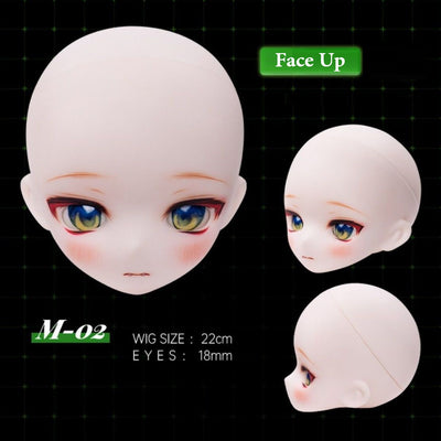 LEE Fullset | Item in Stock | DOLL