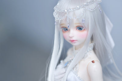 Zuzana Princess Cinderella ver. Limited - Special Reissue | Preorder | DOLL