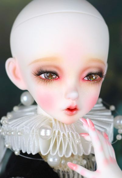 FOB Little Rosemii Blossom [Limited Time] | Preorder | DOLL