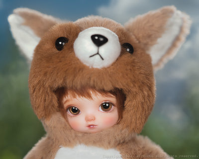 Baby Raccoon (Brown) [5% OFF for a limited time] | Preorder | DOLL