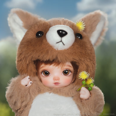 Baby Raccoon (Brown) [5% OFF for a limited time] | Preorder | DOLL