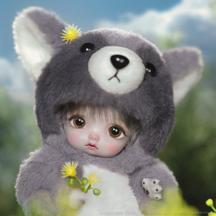 Baby Raccoon (Gray) [5% OFF for a limited time] | Preorder | DOLL