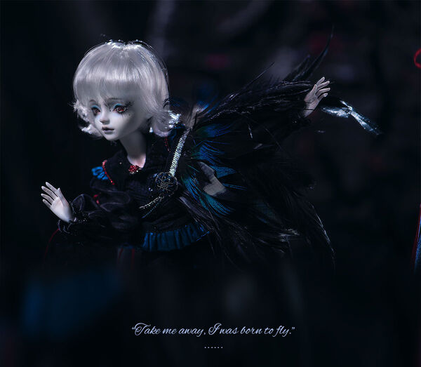Thilo [Final Order 15% OFF] | PREORDER | DOLL