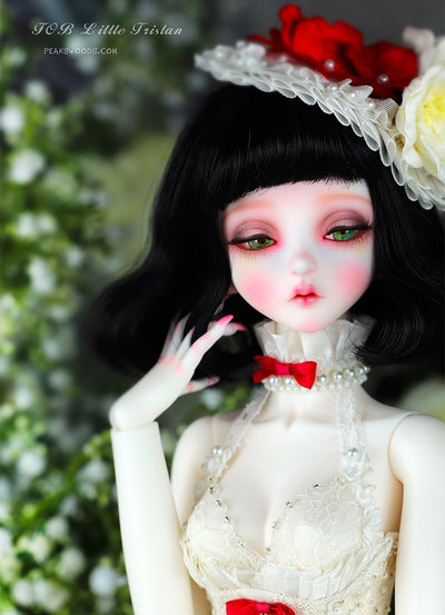 FOB Little Tristan [Limited Time] | Preorder | DOLL