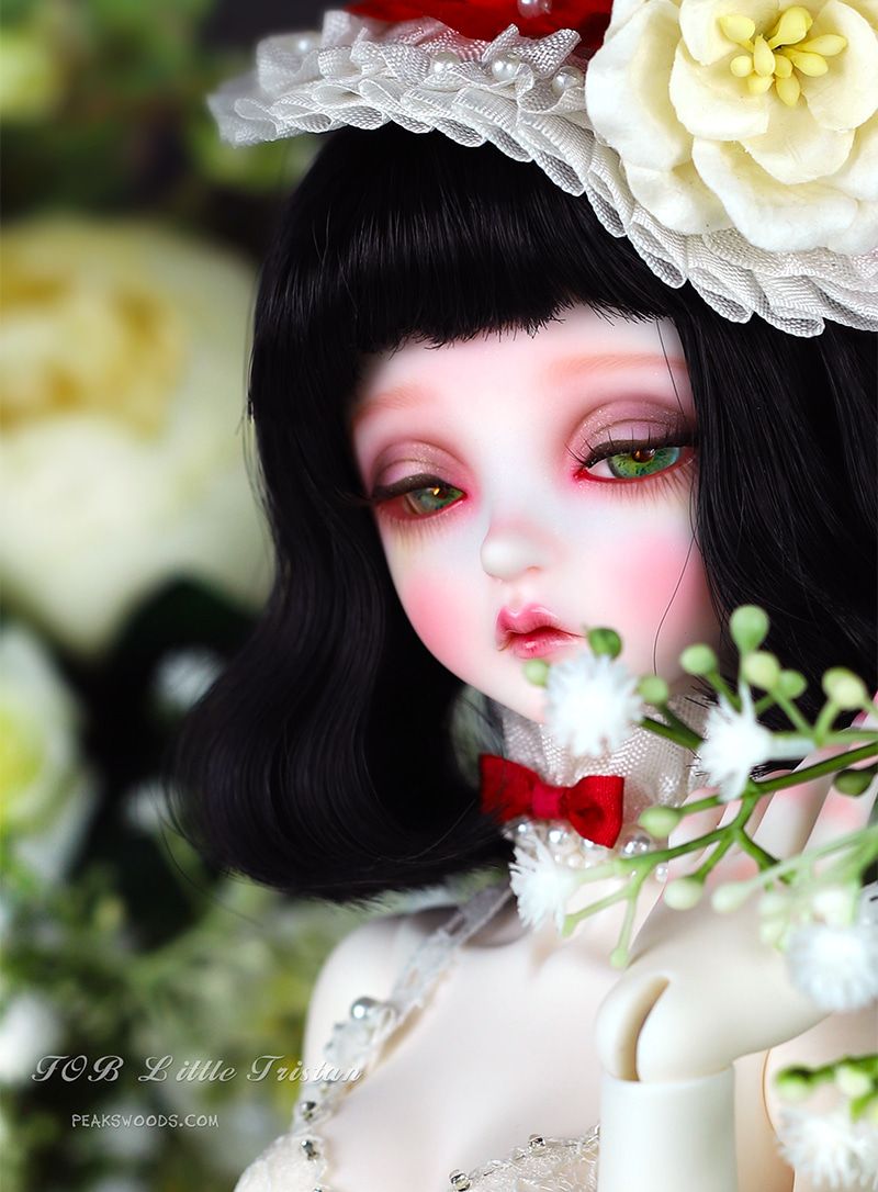 FOB Little Tristan [Limited Time] | Preorder | DOLL