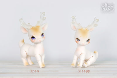 Shifty [Limited Time] | Preorder | DOLL