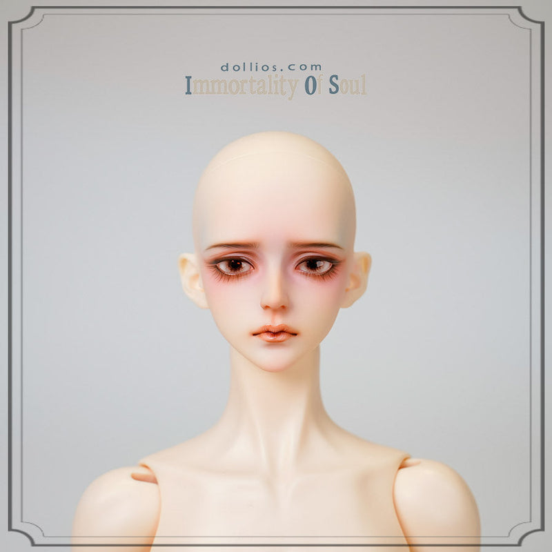 ANDANTE Head [Limited Time Discount] | PARTS