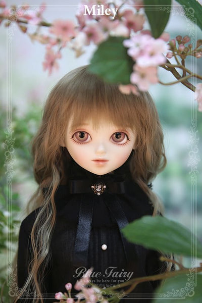 BF Last Order Before Moving to Factory [Limited time] | Preorder | DOLL