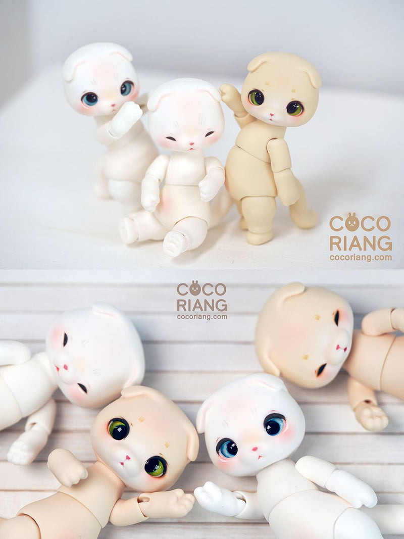 Moco [Cream White] [Limited Time] | Preorder | DOLL