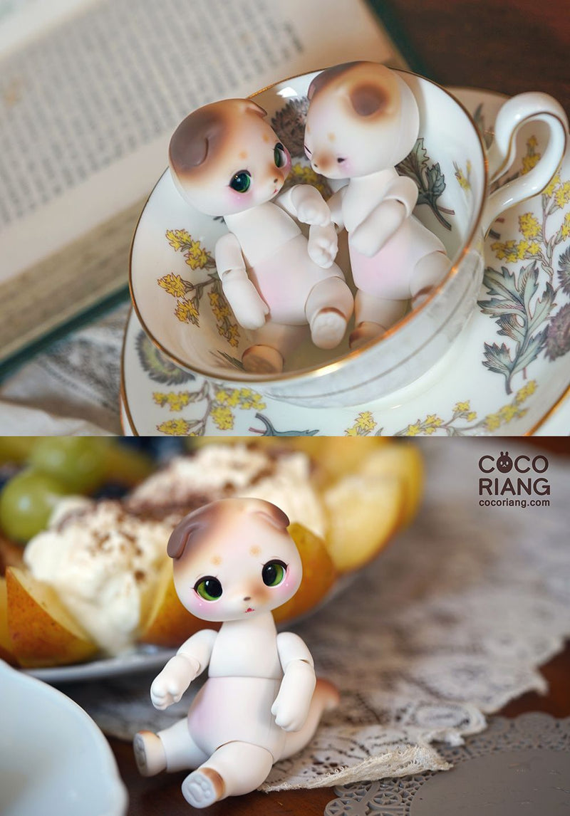 Moco [Cream White] [Limited Time] | Preorder | DOLL