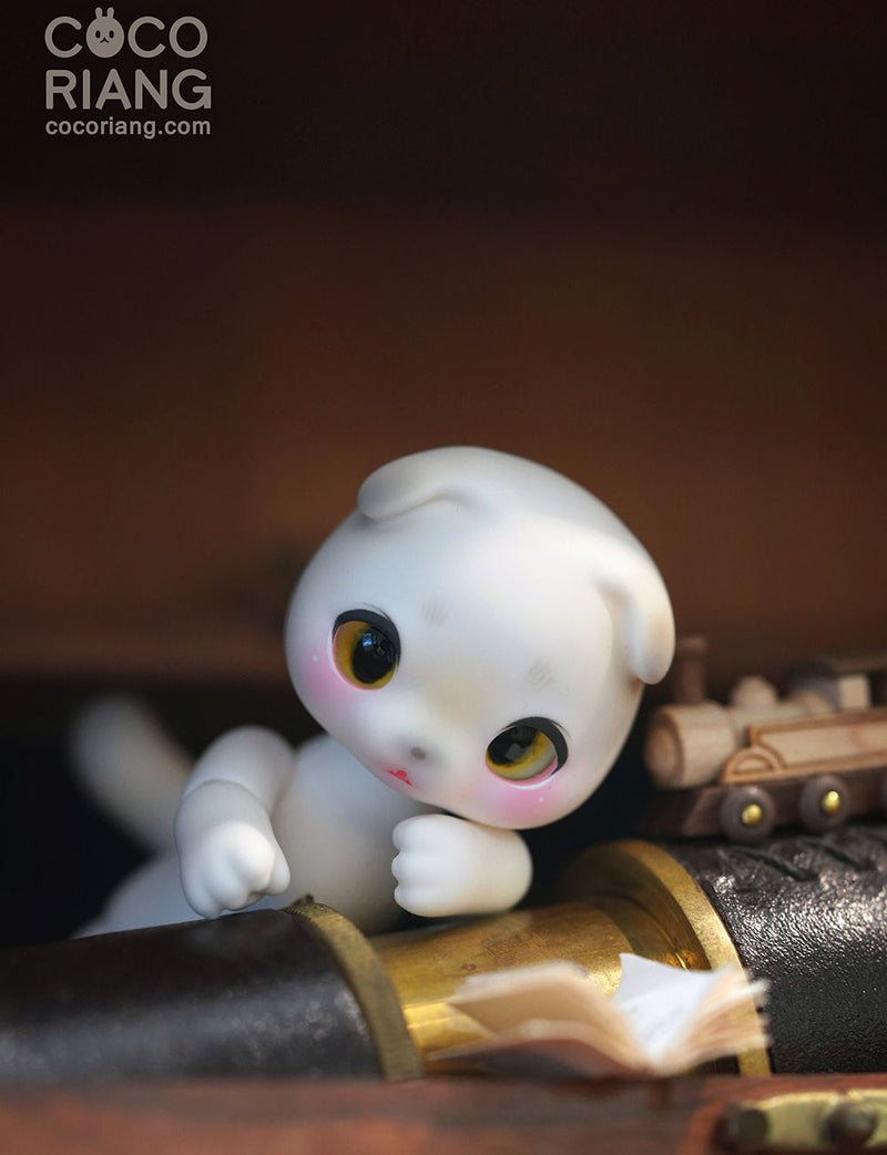 Moco [Cream White] [Limited Time] | Preorder | DOLL