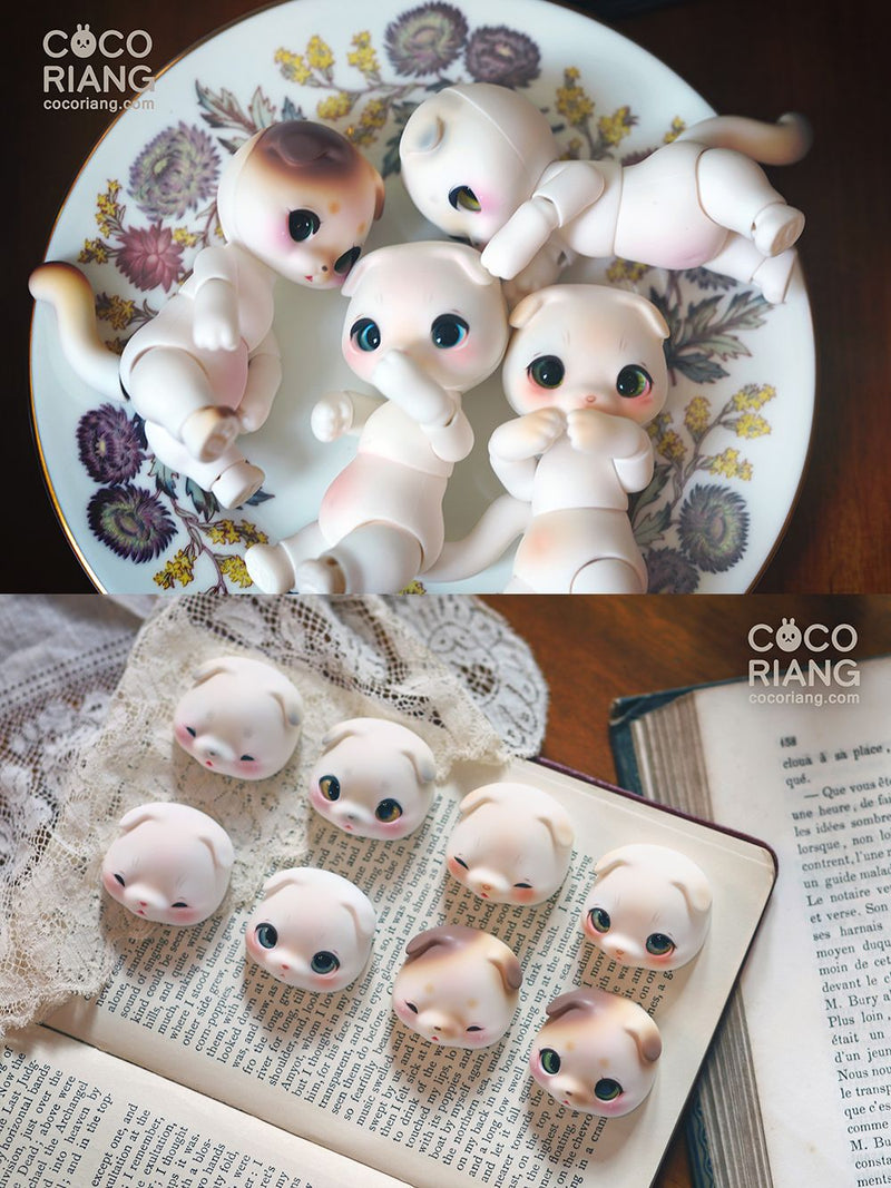 Moco [Cream White] [Limited Time] | Preorder | DOLL