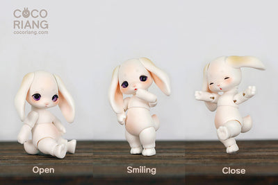 Groomy [Cream White] [Limited Time] | Preorder | DOLL