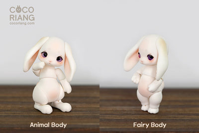 Groomy [Cream White] [Limited Time] | Preorder | DOLL