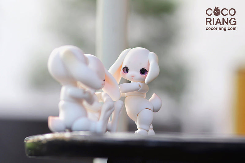 Groomy [Cream White] [Limited Time] | Preorder | DOLL