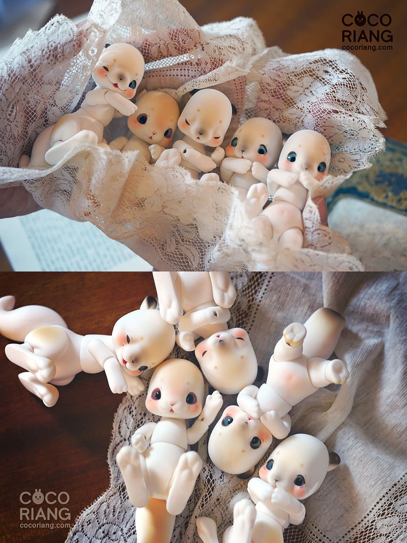 Cheeriya [Cream White] | Preorder | DOLL