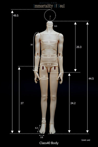 ARIETTA [Limited Time Offer] | PREORDER | DOLL