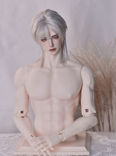 Torso [Limited Time 25%OFF] | Preorder | PARTS