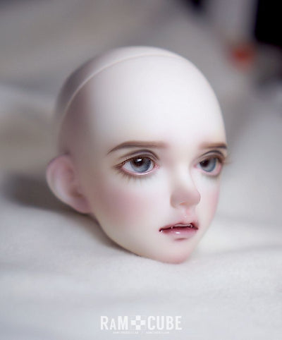 V.Inno Head : B type [Limited Time] | Preorder | PARTS