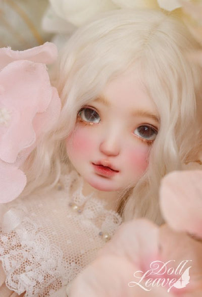 Dulcia Pink Elf Fullset [Limited Time]  | Preorder | DOLLS