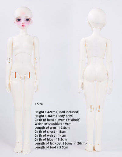 42cm Girl Body | Preorder | PARTS