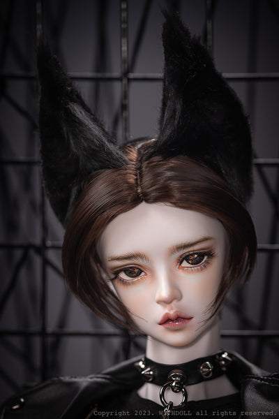 Max [Quantity & limited time] | Preorder | Doll